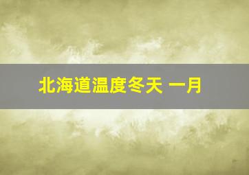 北海道温度冬天 一月